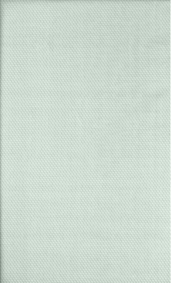 Guy Laroche Sentoni Minimal Mint 180x270cm